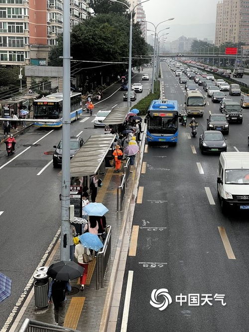 租玺北京车牌出租内幕：老司机透露这几点，避免踩坑省心省力